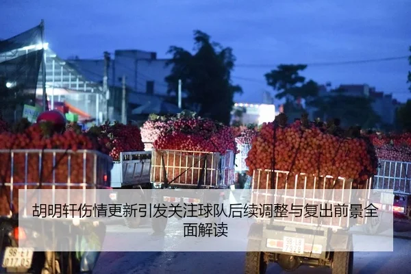 胡明轩伤情更新引发关注球队后续调整与复出前景全面解读