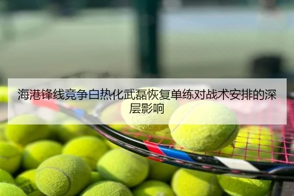 海港锋线竞争白热化武磊恢复单练对战术安排的深层影响